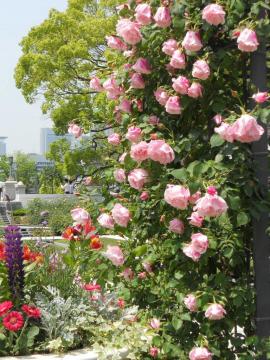 �X�p�j�b�V���r���[�e�B�[�̃A�[�`�F���V���K�N��