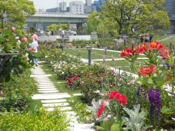 �K�N����