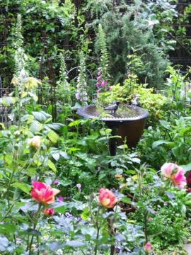 ������̉J�~��