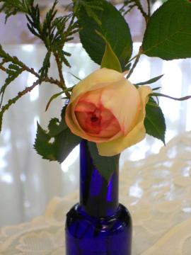 �����T�[���̂ڂ�