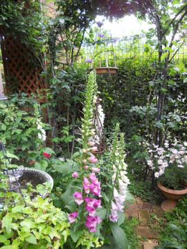 �W�L�^���X�ƃN���}�`�X