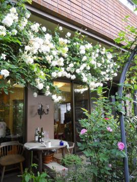 �X�e���O���C�Ƒ�A�[�`