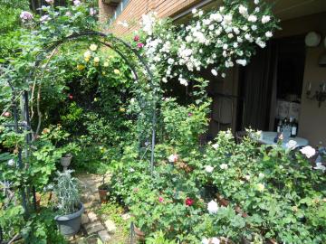 �����̃}�C�K�[�f��