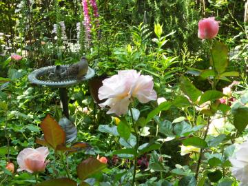 ���͂悤�I�n�g����