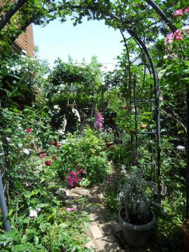 ���̃A�[�`�𐼂̃S�[���h�E�o�j�[�̃A�[�`�̉����璭�߂�