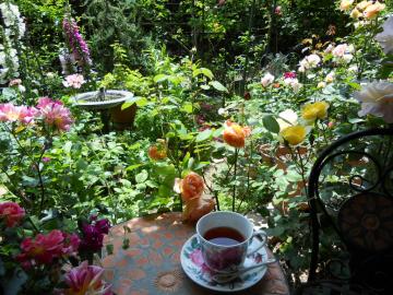 �}�C�K�[�f���E���[�Y�e�B�[�T����