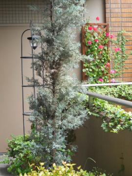 �Q���O�̃e���X