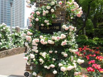 �K�N������