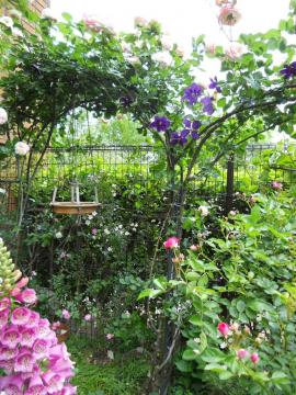 �����T�[���A�[�`�Ƃ��̉��̏��֌n���K�N