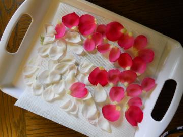 �w���e�[�W�ƃx���W���~���E�u���e���̉Ԃт�