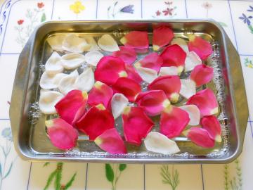 ���������Ă���Ƃ���