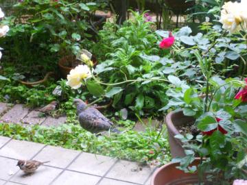 ���������͂悤�I