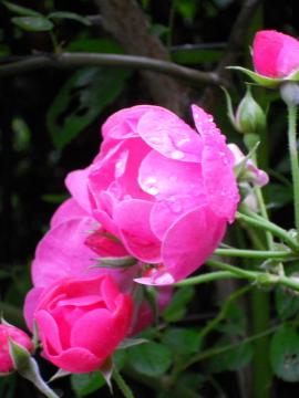 �J�~��̃A���W�F��