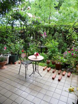 �䕗�V�t�g�I