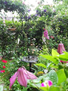 �����̃}�C�K�[�f��