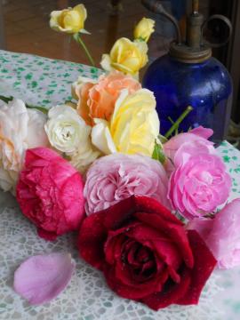 �s�̐܂ꂽ�Ԃ̃J�b�g