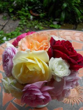 �����̃A�����W