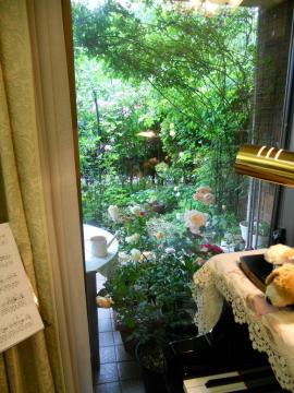 ���A���͕�������