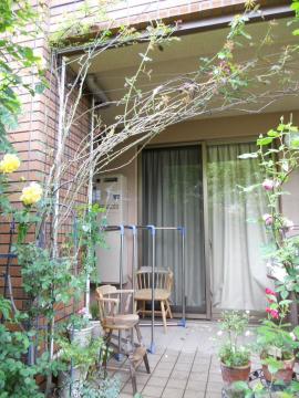 ���ڂ����X�e���O���C�I