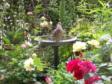 ����1�H�����͂悤�I