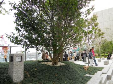 �󒆒뉀����