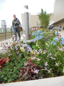 �X�ɂ�����K�オ��