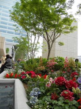 �L���邨��