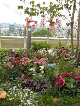 ���w���ӂ͍H�����I