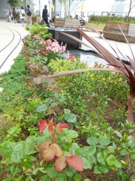 �o���c������