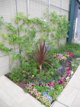 �h���g�����g