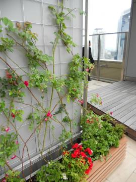 ��o���̒�