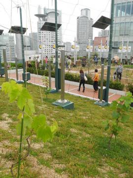 �u�h�E�̕c��