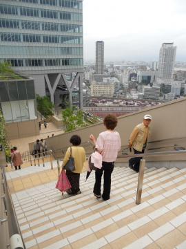 �V��̔_���ւ̊K�i