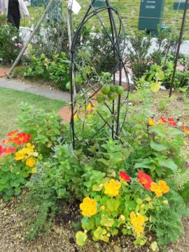 �i�X�^�`�E���ƃg�}�g