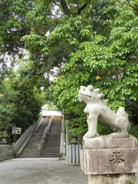 �����ƎQ��