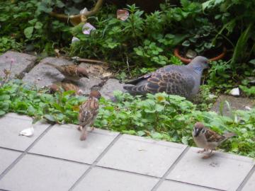 ���������͂悤�I