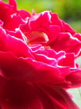 �o�����E�W���[�h�D����