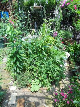 �����̃}�C�K�[�f���E�o�[�h�o�X����