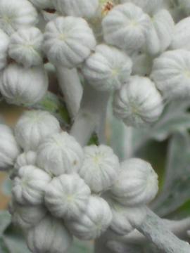 ����͂Ȃ�ł��傤�H