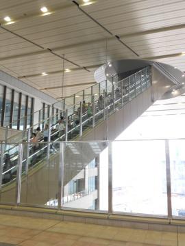 �V��̔_���ĂсI