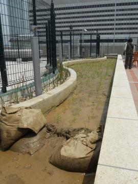 �c�A�������I