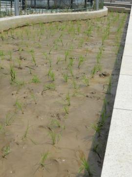 �A����ꂽ�����Ă̕c