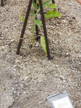 ���Ȃ��̕c