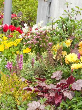 ���������ɐA����ꂽ�R���e�i