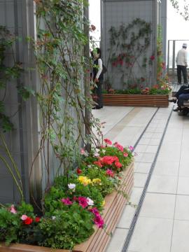 ��o���̒�