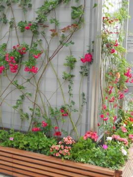 �炢�Ă��܂��I