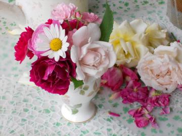 �����̃A�����W