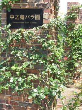 �K�N������