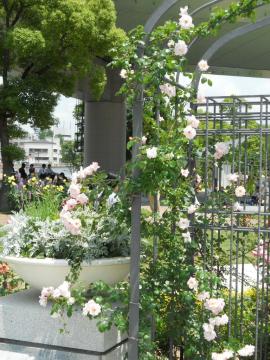 �j���[�E�h�[��