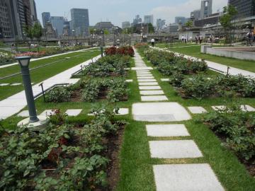 �I�肳�ꂽ�K�N���S�i